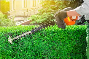 כלי גינון נטענים